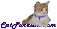 CatPurrson.com